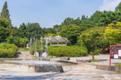청주 발산공원 여름 축제, 자연 속에서 즐기는 충북 여행