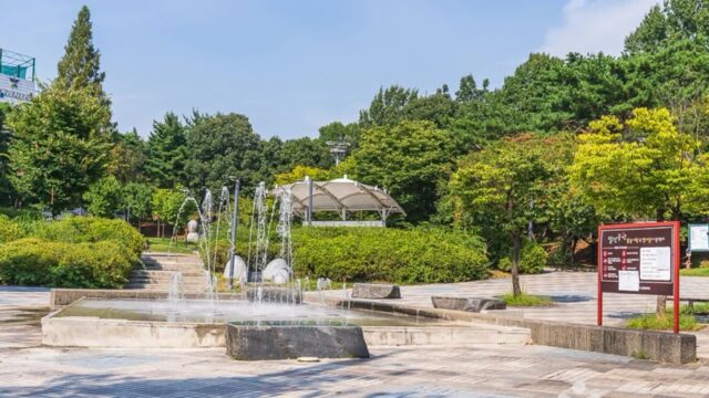 청주 발산공원 여름 축제, 자연 속에서 즐기는 충북 여행