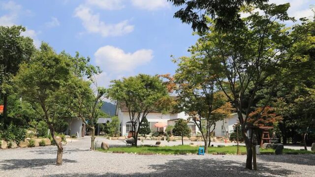 “햇살 아래 5만 평의 자연이라니…” 가족과 힐링하는 캠핑 명소