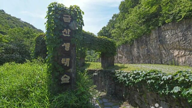 충남 금산생태숲 축제, 자연 속 힐링의 경험