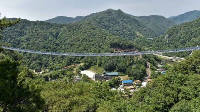 강원 소금산 스카이워크 브릿지, 하늘 위 짜릿한 산책