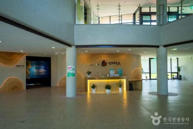 2026 건대입구 전시 최신 아트 명소 5곳, 지금 바로 확인하세요