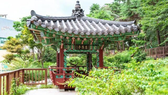 “30,000㎡ 자연이 도심 한가운데 펼쳐졌어요”… 서울 속 숨은 명소 오금공원