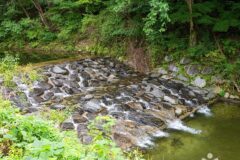 경기 백운산(포천) 하이킹, 자연 속 평온한 쉼터 체험