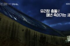 매년 우리나라에서 800만 마리의 새가 죽는 이유 [유리창 살해사건]