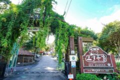경기 모산목장 카페, 자연 속 여유 만끽하는 여름철 인기