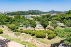 경기 산들공원 여름 축제, 시흥시 자연 속 즐거움