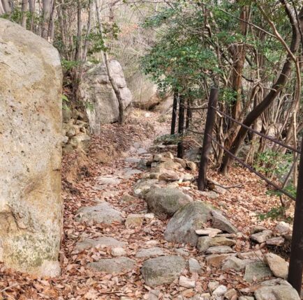 남해 금산을 아시나요?