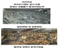 도시철도 공사 도중 발견된 유물들
