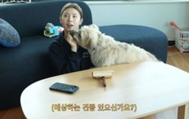 리정 반려견 두두 유전자 검사를 했는데…