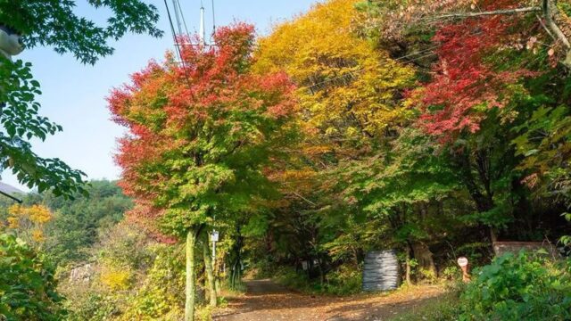 무등산국립공원 전남 숙소, 자연 속 편안한 휴식 경험