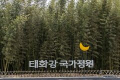 울산 태화강 국가정원 숙소, 자연 속 여름휴가 즐기기