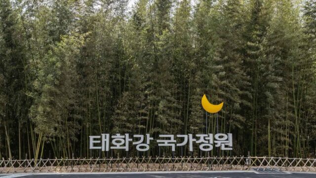 울산 태화강 국가정원 숙소, 자연 속 여름휴가 즐기기