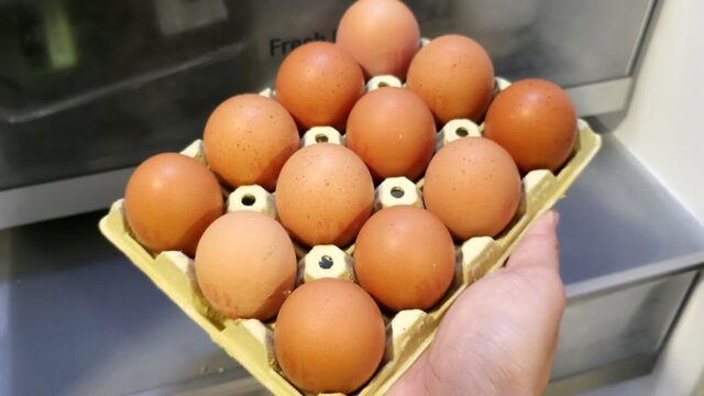 계란 보관법 그냥 냉장고에 두면 안돼요! 한번 알면 평생 유용한 계란 보관방법