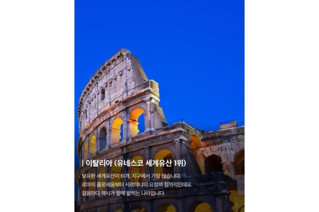 분야별 세계1위