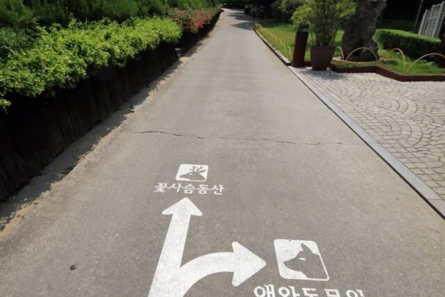 2026 베어트리파크 새벽 일출 포인트, 놓치면 후회할 BEST 5 코스