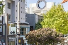 “700미터가 이렇게 활기찰 줄이야!”… 현대와 전통의 명소, 신사동 가로수길 여행지