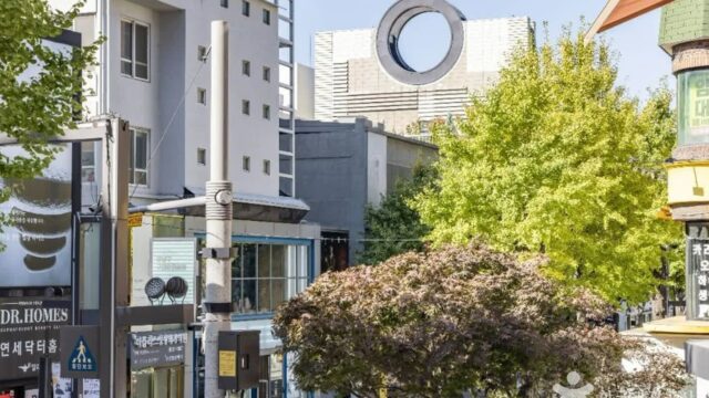 “700미터가 이렇게 활기찰 줄이야!”… 현대와 전통의 명소, 신사동 가로수길 여행지