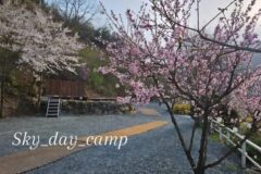 “5,000㎡가 고요하다니 믿기지 않아요”… 자연과 연결된 밀양 힐링 여행지