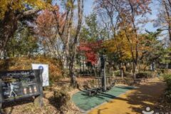 서울 성촌공원 축제, 도심 속 여름 문화의 향연