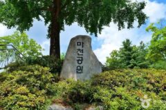 “200,000㎡ 공원이 서울에 숨겨져 있다니!”… 도심 속 자연 힐링 여행지