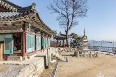 “아침마다 새소리가 이렇게 맑게 울리다니”… 520m 고요한 산책로 숨은 명소