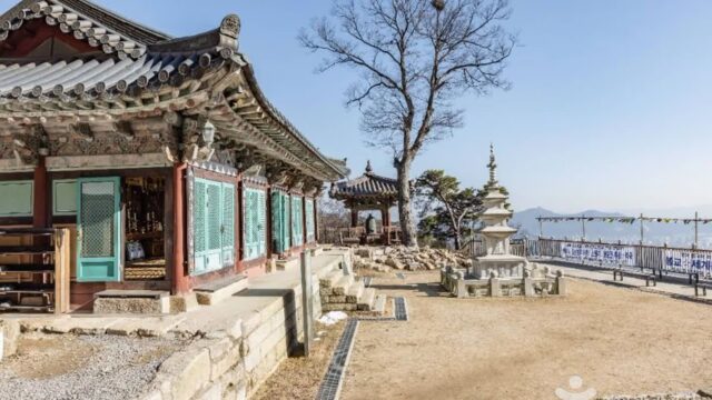 “아침마다 새소리가 이렇게 맑게 울리다니”… 520m 고요한 산책로 숨은 명소