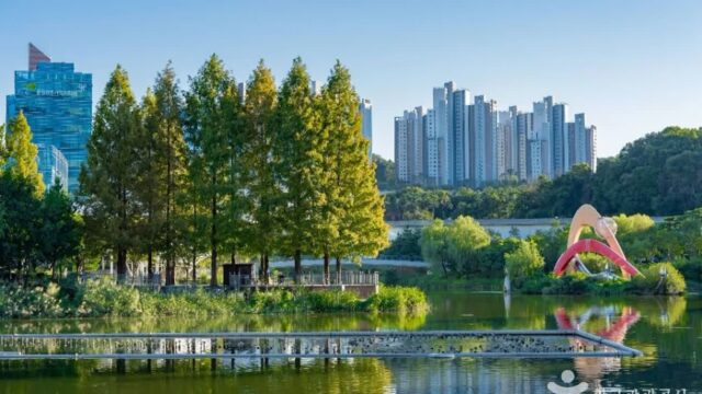 경기 동백호수공원에서 자연과 함께하는 산책 체험