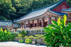 전남 대원사(산청) 카페, 자연 속 편안한 쉼터