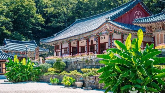 전남 대원사(산청) 카페, 자연 속 편안한 쉼터
