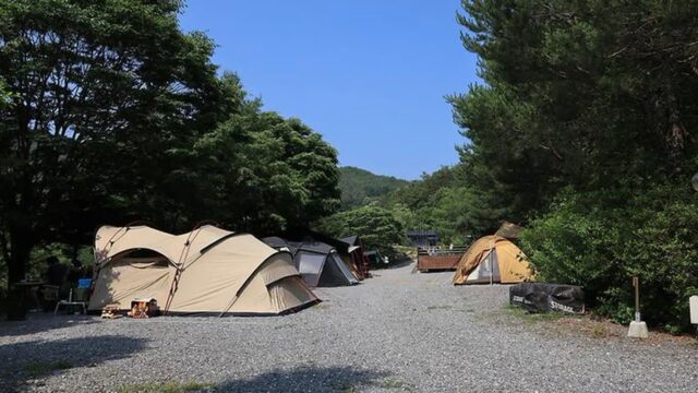 “밤하늘 별빛이 쏟아진다니?”… 숲과 강변의 진짜 힐링 명소 월드니스 오토캠핑장