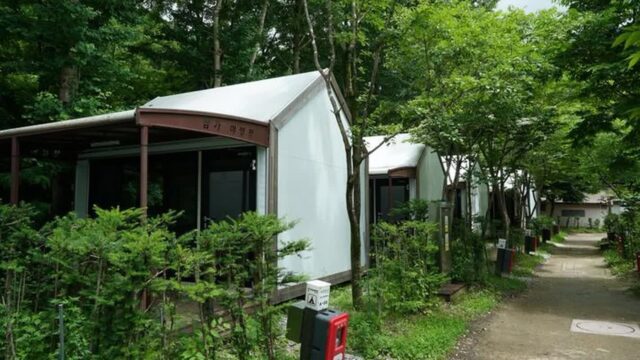 경북 소백산삼가야영장 축제, 여름 자연 체험의 장