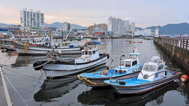 전남 마산항 체험, 바다와 역사가 어우러진 명소