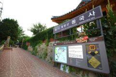2026년 국내 드라이브 코스 BEST 5: 여름 바다부터 산속 명소까지