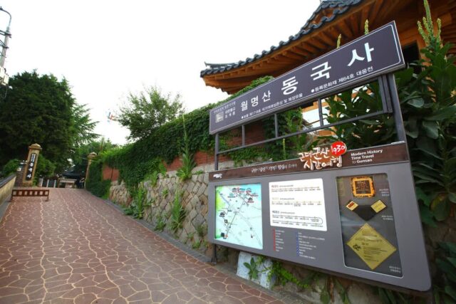 2026년 국내 드라이브 코스 BEST 5: 여름 바다부터 산속 명소까지