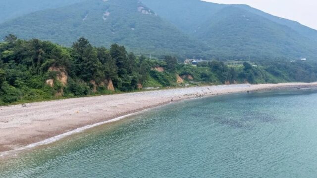 전남 금장해수욕장 축제, 여름 바다를 만끽하는 방법