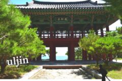 7월 국내 여행지 추천 울진 가볼만한 곳 월송정 구산해수욕장 캠핑장 대풍헌 여행코스