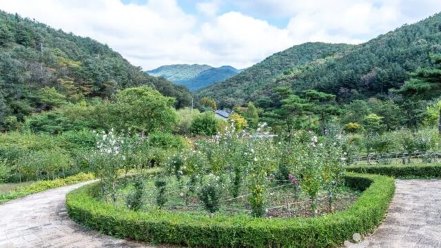 충남 보령 무궁화수목원 체험, 자연 속 여유로운 하루