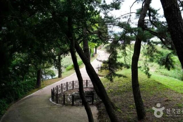 2026 인천 하노이 항공권 완벽 가이드: 최저가 특가부터 필수 여행 코스까지