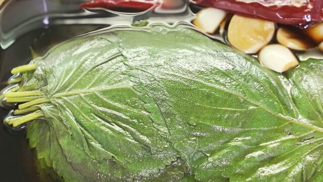 깻잎장아찌 만들기 ‘이 방법’으로 1년 내내 맛있는 깻잎장아찌 황금레시피