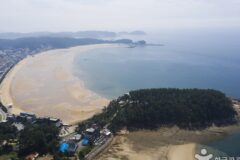 충남 만리포해수욕장 여름 체험, 가족과 함께 즐기는 해변