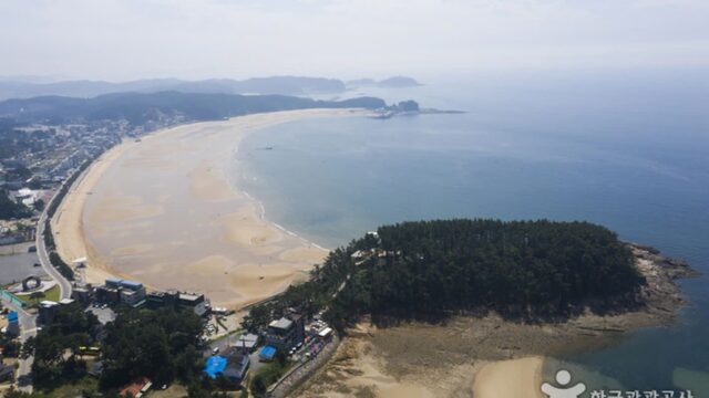 충남 만리포해수욕장 여름 체험, 가족과 함께 즐기는 해변