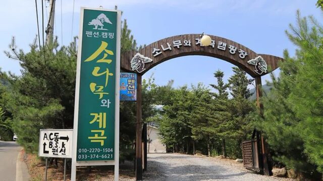 영월 소나무와 계곡 캠핑장, 강원 자연 속 휴식체험