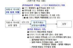 베일 벗은 중복상장 가이드라인, 물적분할만 ‘3%룰 주주동의’ 의무