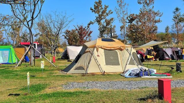 “부산에서 10km, 이런 자연 명소가 있다니…”… 철새와 별빛 가득한 삼락생태공원 캠핑지