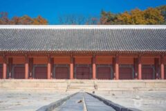 종묘 가는법 완벽 가이드: 2026년 꼭 방문해야 할 5곳 추천