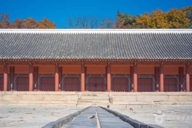 종묘 가는법 완벽 가이드: 2026년 꼭 방문해야 할 5곳 추천
