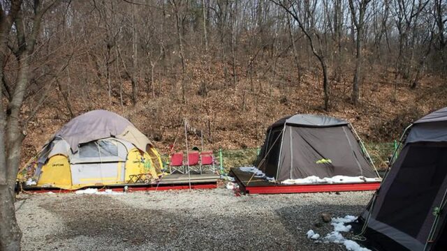 “서울에서 50km 떨어진 이렇게 넓은 숲이 있다니…” 100,000㎡ 용인랜드 힐링 여행지