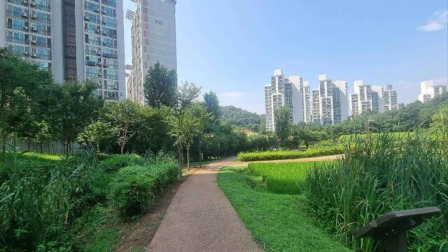 서울 관악도시농업공원 숙소, 자연 속 여름휴가 즐기기