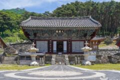 대구 비슬산 유가사 축제, 자연 속 명상 경험